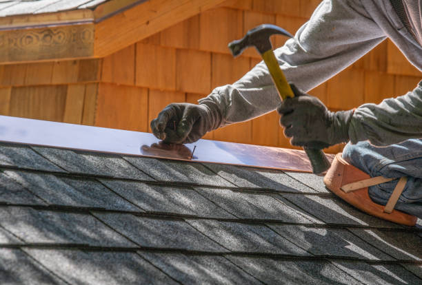 Best Roof Moss and Algae Removal  in Auburn Hills, MI